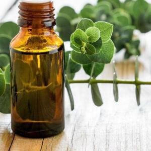 Eucalyptus scented car air freshener